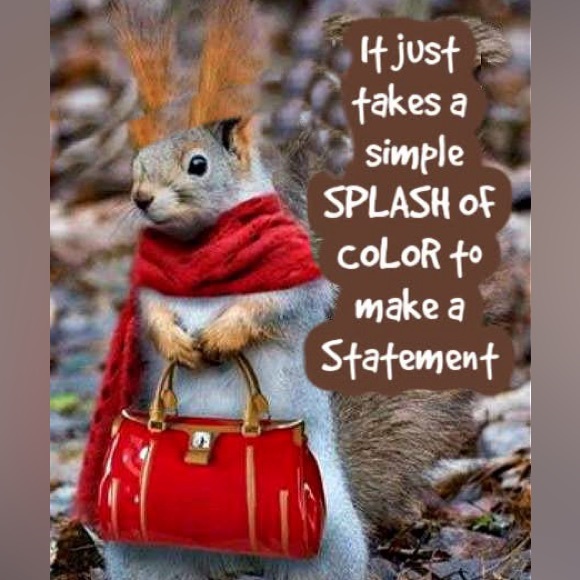 Meet your Posher Linda! - Picture 16 of 16